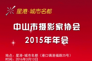 2015年辽阳市摄影家协会年会通知